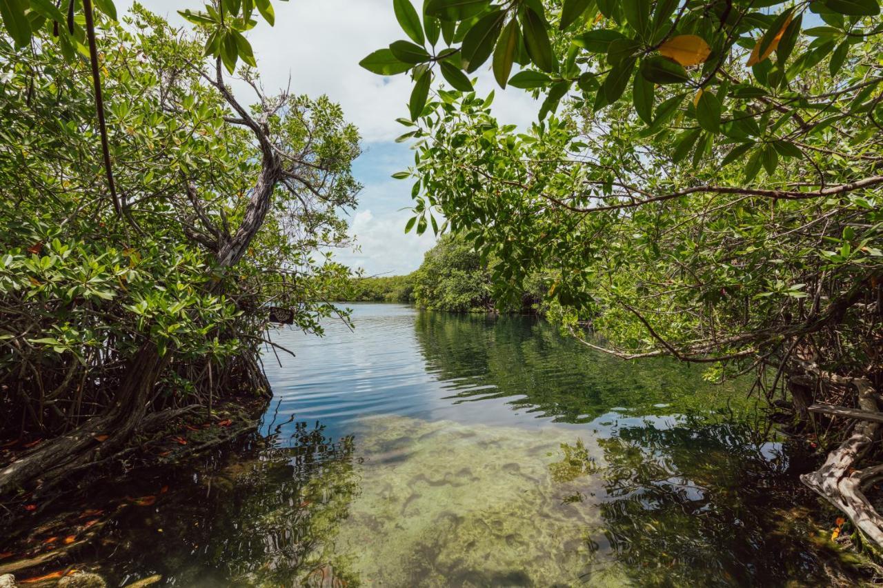 Yaxchen Tulum Cabanas & Cenote Ngoại thất bức ảnh