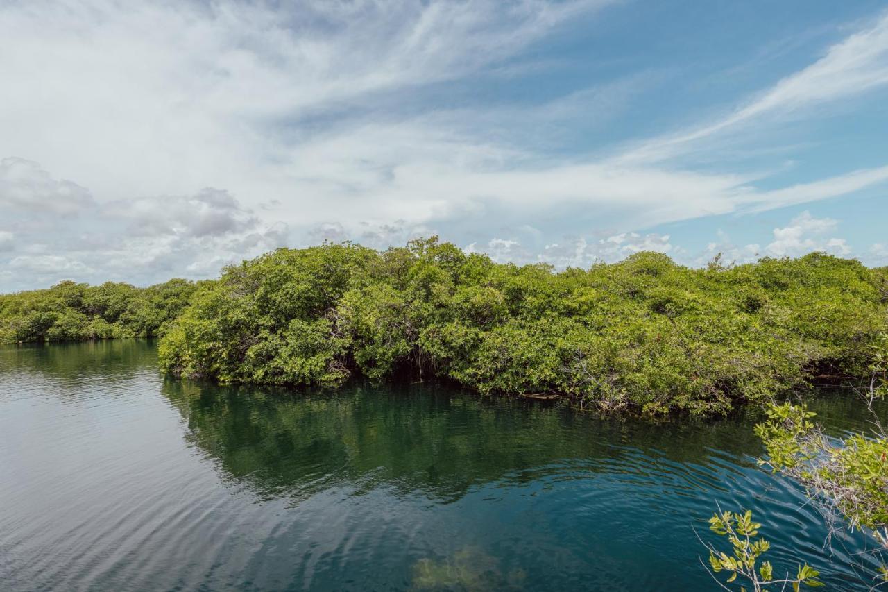 Yaxchen Tulum Cabanas & Cenote Ngoại thất bức ảnh