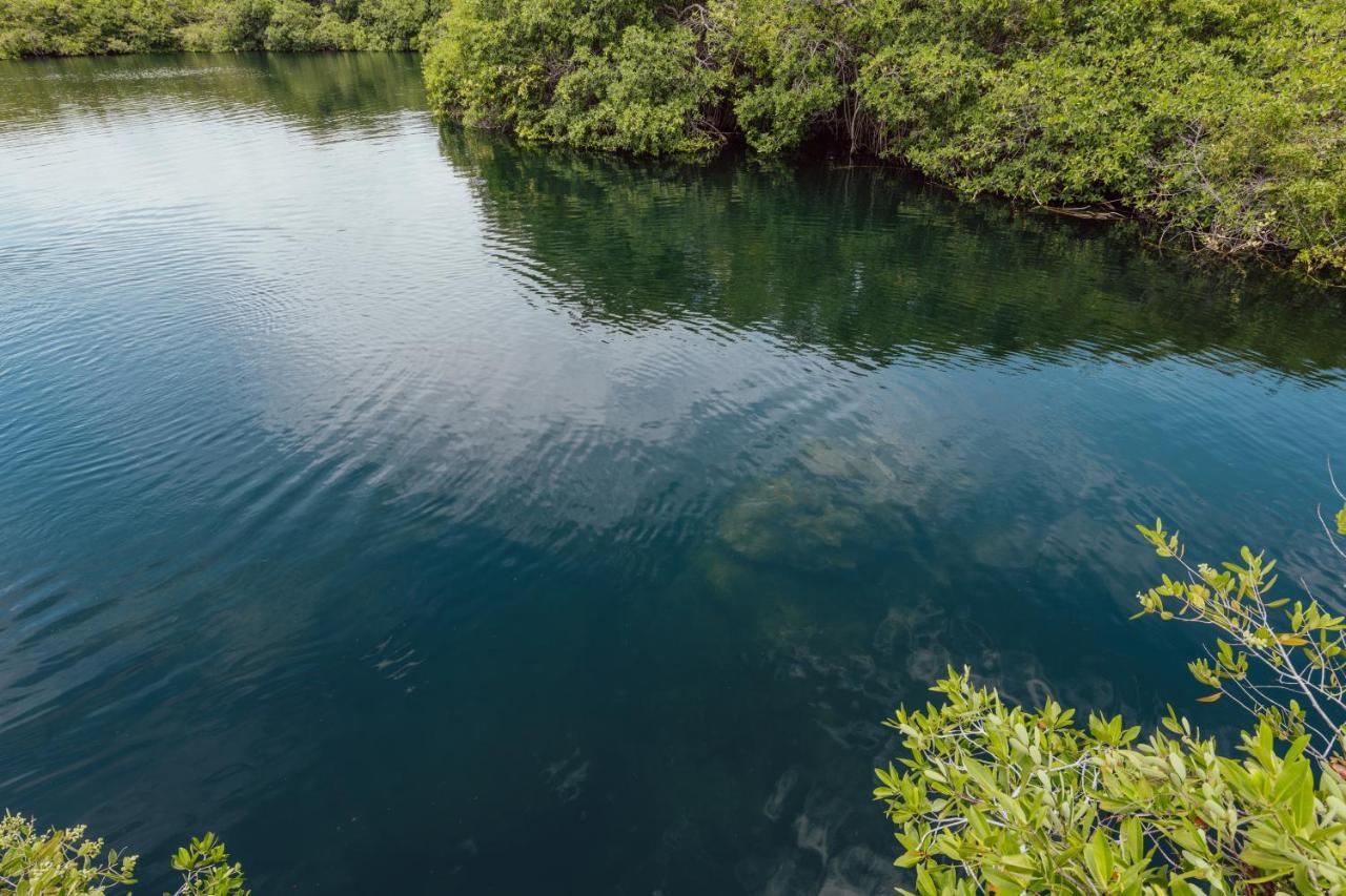 Yaxchen Tulum Cabanas & Cenote Ngoại thất bức ảnh