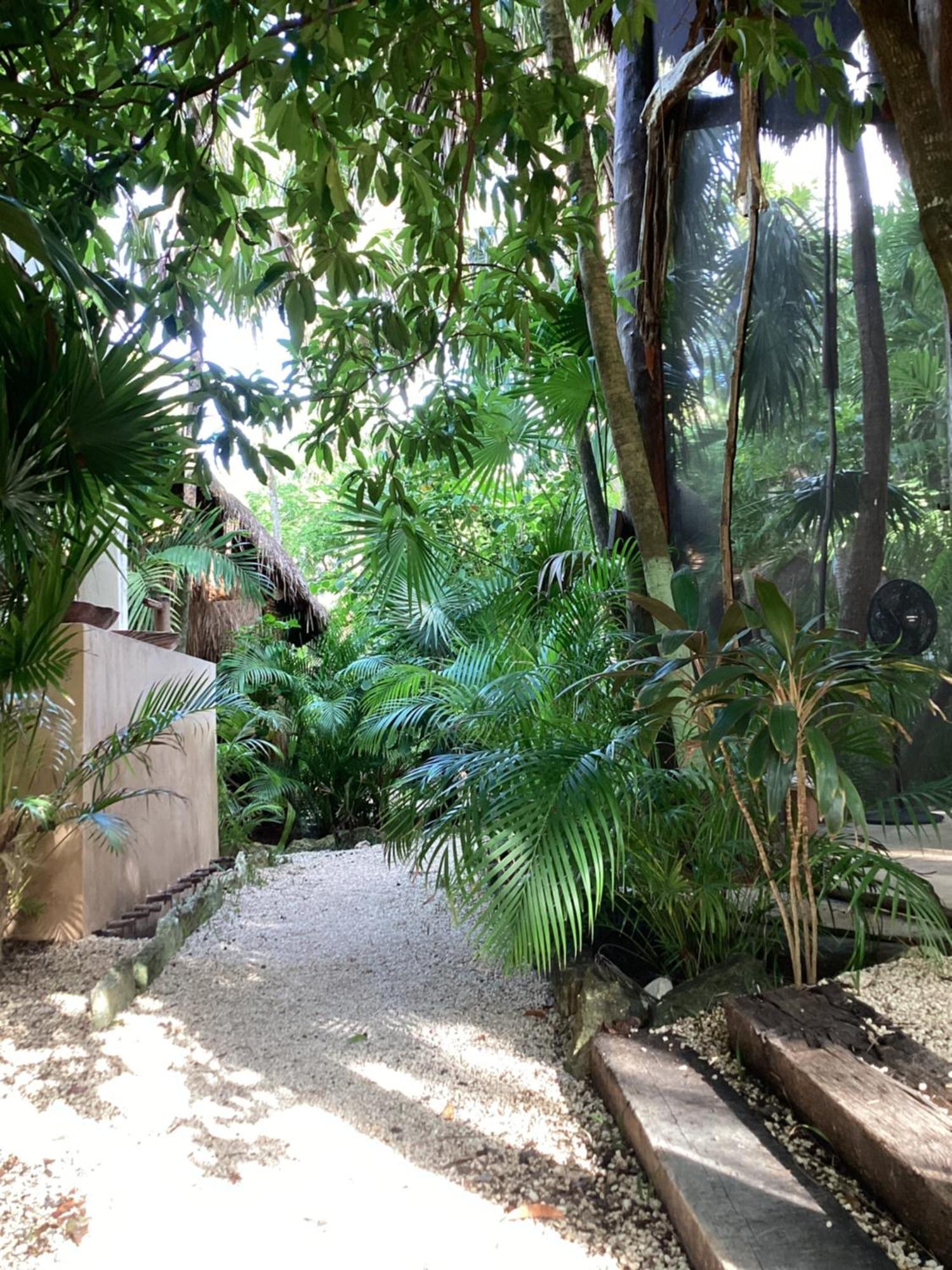Yaxchen Tulum Cabanas & Cenote Ngoại thất bức ảnh